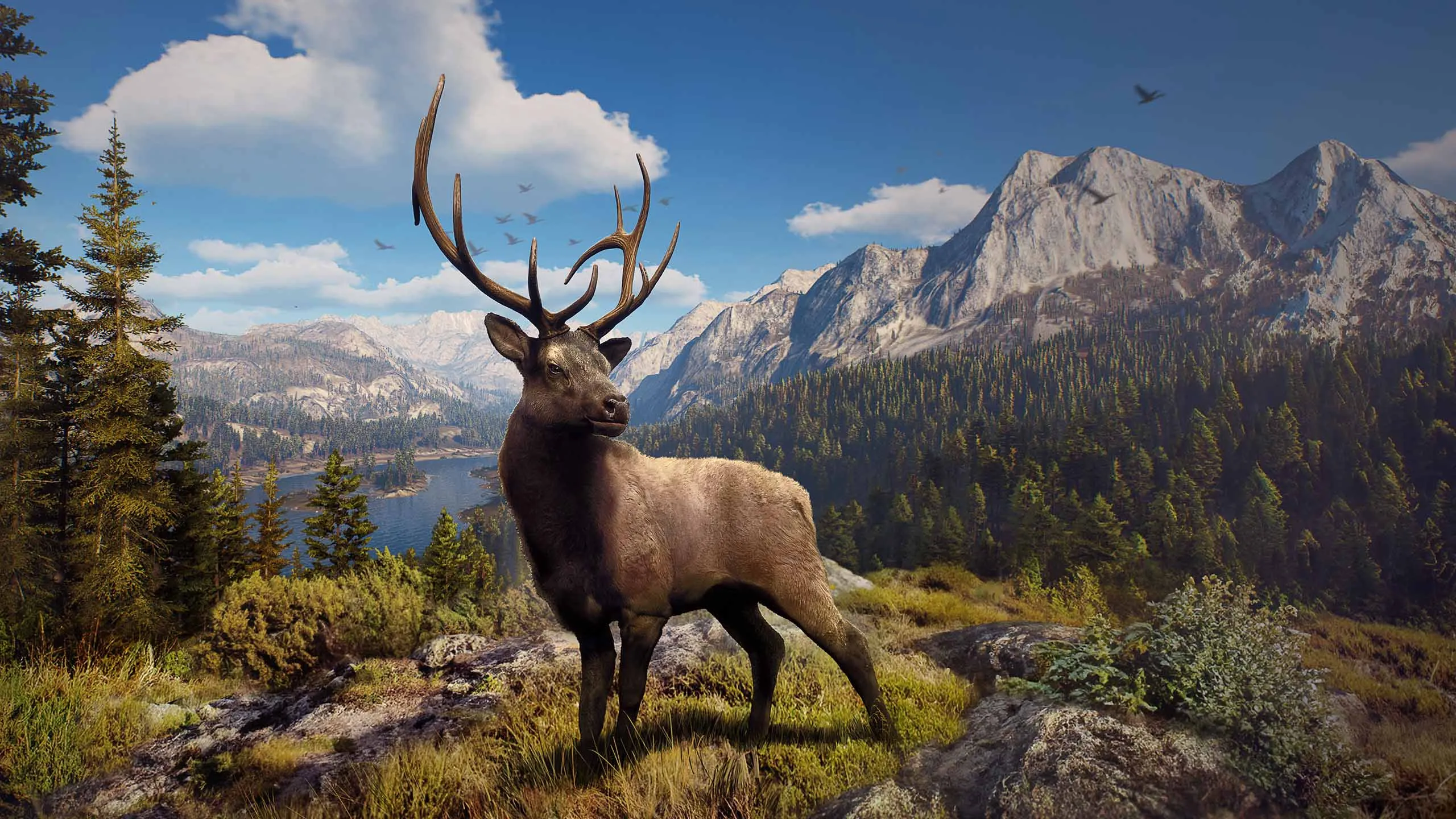 Way of the Hunter: Wild America